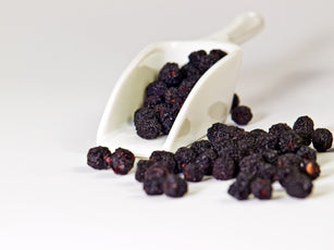 Aroniabeeren trocknen