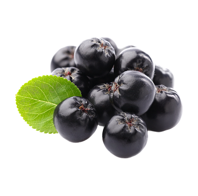 aronia beere
