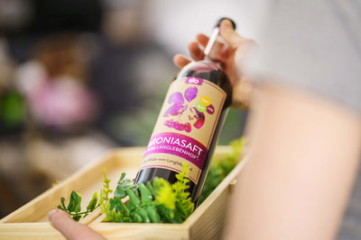 Black Friday Paket "Plus"