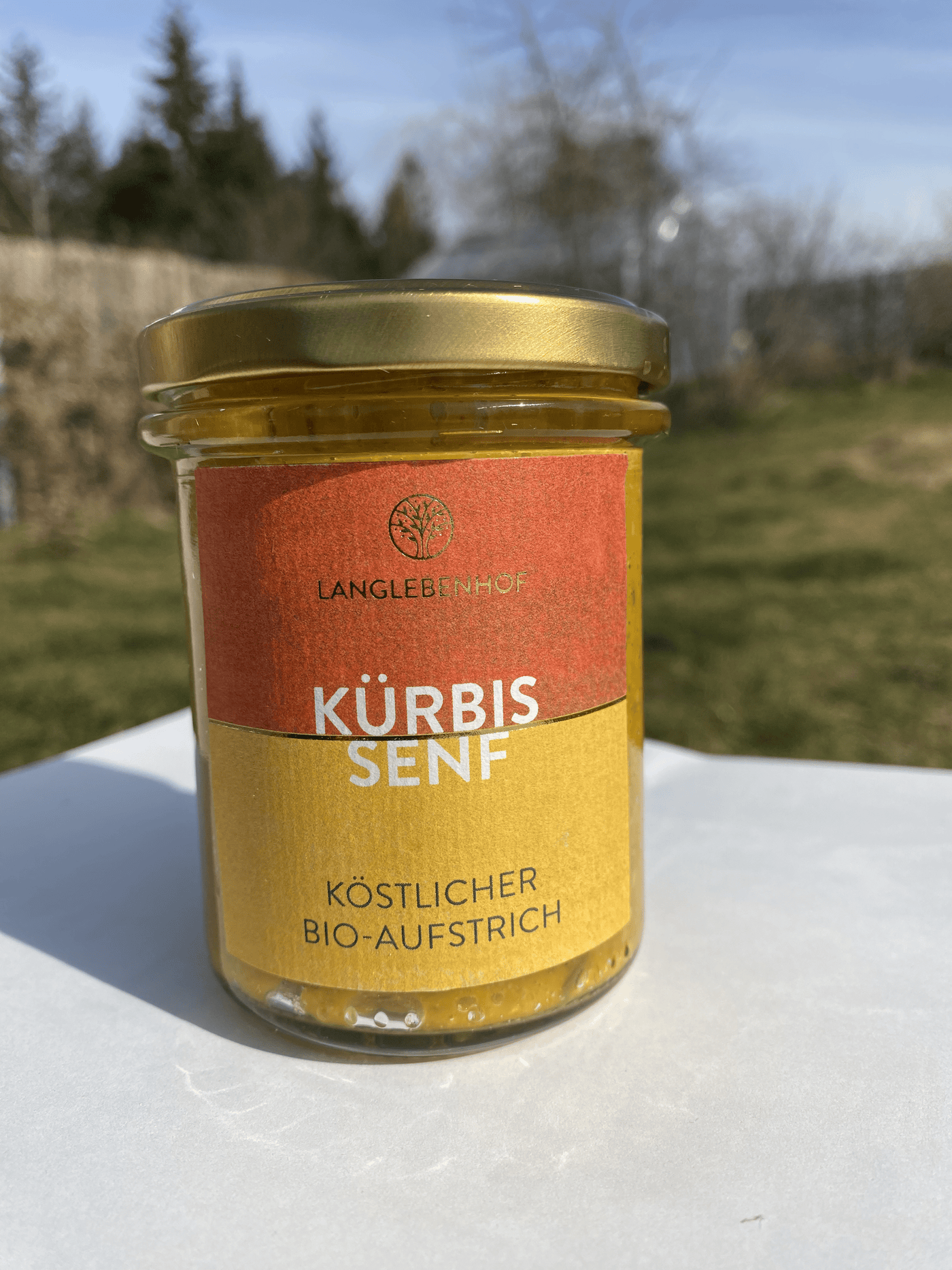 Super Food Kürbis Senf - BIO